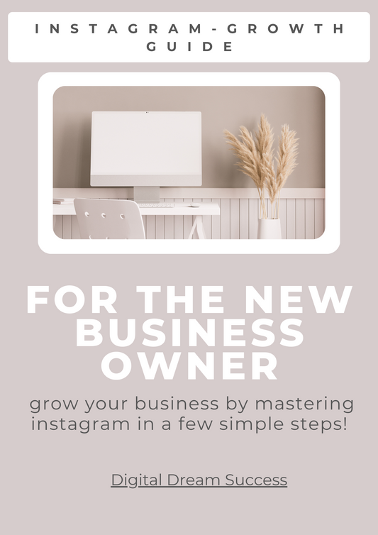 Instagram Growth Guide for the New Business Owner-PLR- Private Label Rights included